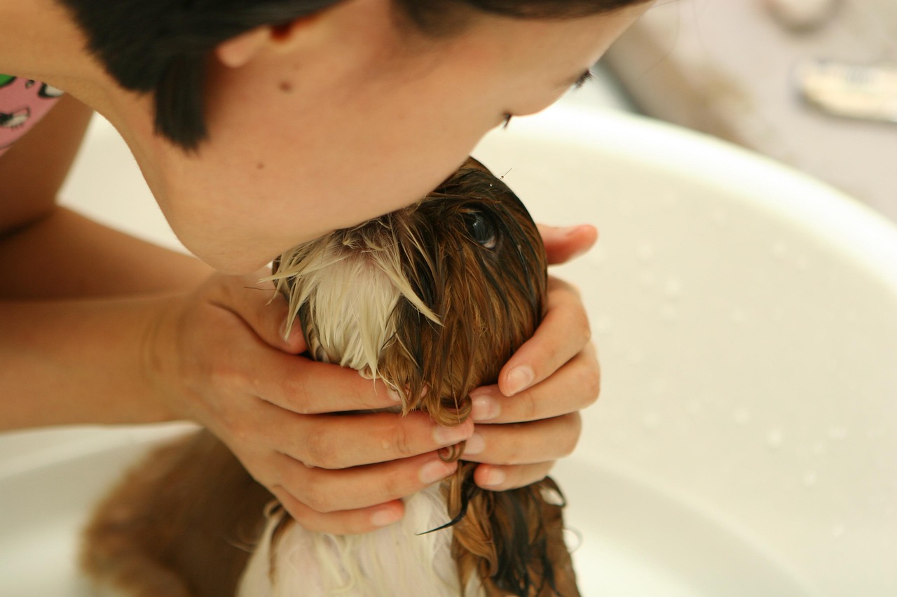 Dog Groomer Website Tips to Book More Clients in 2026